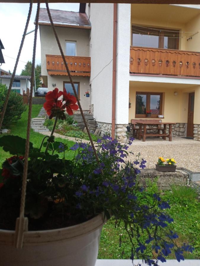 Hotel Sifra 276 Nová Lesná Exteriér fotografie